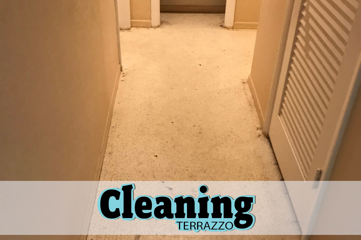 Restore Cleaning Terrazzo Floor Process Broward